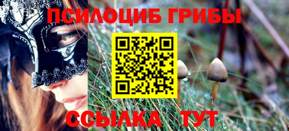 Волхов  Псилоцибиновые грибы Psilocybe  цены   Псилоцибиновые грибы MAGIC MUSHROOMS  Вход с VPN 
