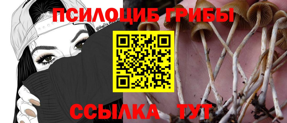 Псилоцибиновые грибы мухоморы Волхов